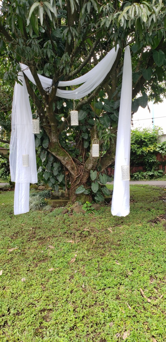 Instalación de tela blanca en árbol de jardín, ángulo distinto